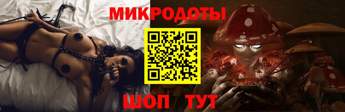 наркошоп  Псилоцибиновые грибы GOLDEN TEACHER  Зеленогорск  Вход с VPN  Псилоцибиновые грибы ЛСД 